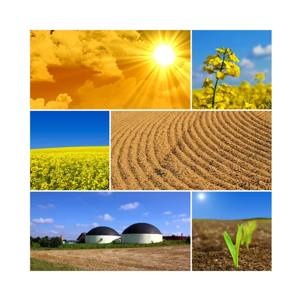 Bioenergia — Zdjęcie stockowe