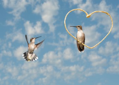 Hummingbirds in a Valentine's day design clipart