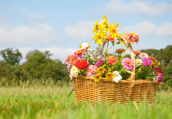 Basketful of colorful flowers on a grassy field — Stock Photo, Image