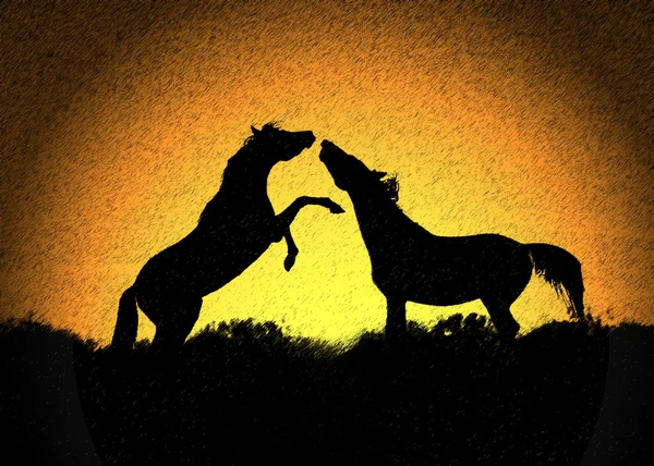 Silhouette von zwei Pferden, die bei Sonnenuntergang hart spielen — Stockfoto