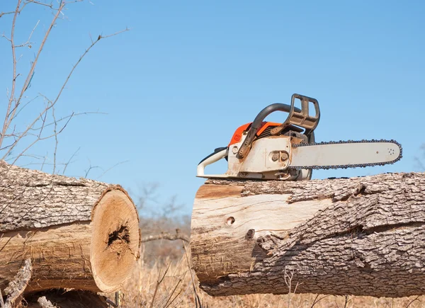 트렁크 위에 톱과 전기 톱 큰 나무를 잘라 — 스톡 사진