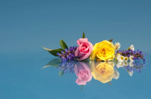 Piękne, żywe kwiaty przed jasny niebieski z odbiciem — Zdjęcie stockowe