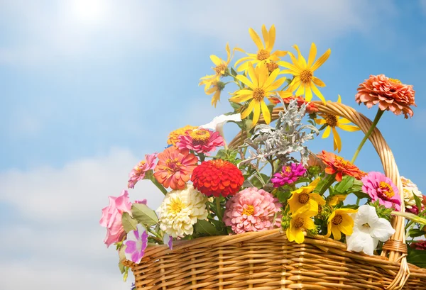 Brilliant, colorful flowers in a wicker basket against sky and clouds — Stock Photo, Image