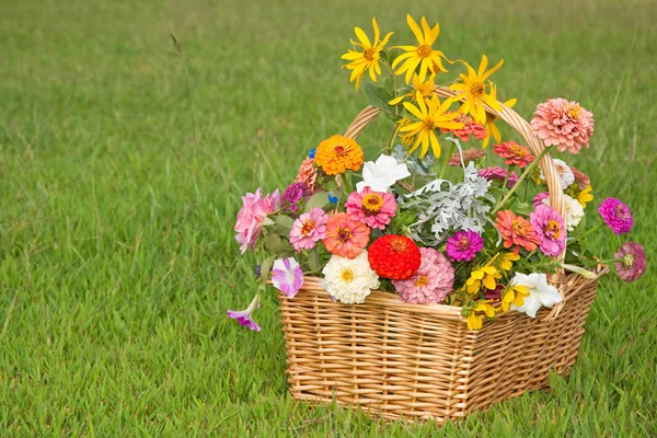 Flores coloridas em uma cesta de vime no fundo de grama verde — Fotografia de Stock