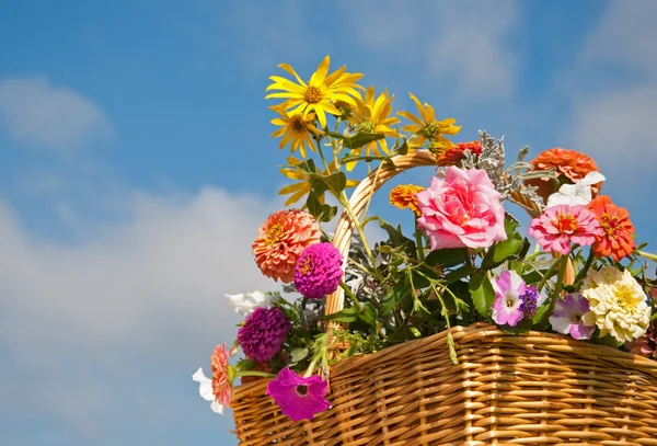 Schöne Blumen in einem Korb gegen bewölkten Himmel — Stockfoto