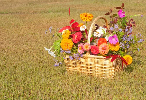 Colorful flowers in a basket — Stock Photo, Image