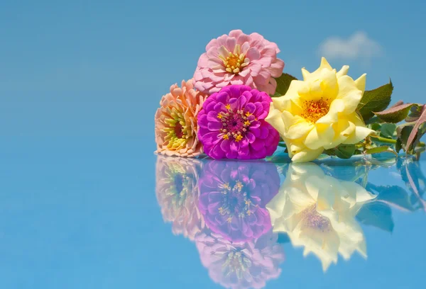 Vackra blommor med reflektion mot blå himmel — Stockfoto
