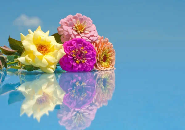 Colorful flowers with reflection against blue sky — Stock Photo, Image