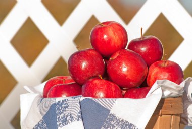 mavi ve beyaz bir çarşaf havlu ile kaplı sepet içinde taze elma