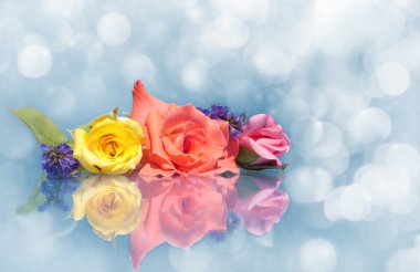 Dreamy image of beautiful roses on blue clipart