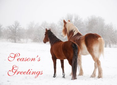 Two frosty horses in fog and snow gazing to distance clipart