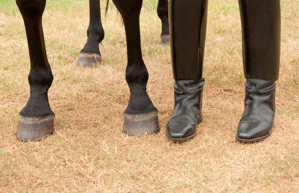 马和骑手的腿和脚挨着 — 图库照片