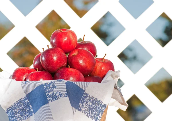 Pommes dans un panier sur fond de panneau de treillis blanc — Photo