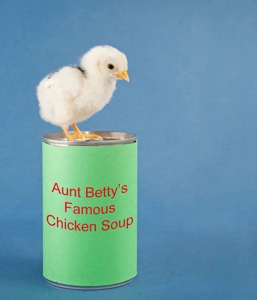 Une image humoristique noire d'un poussin debout sur une boîte de soupe de poulet — Photo