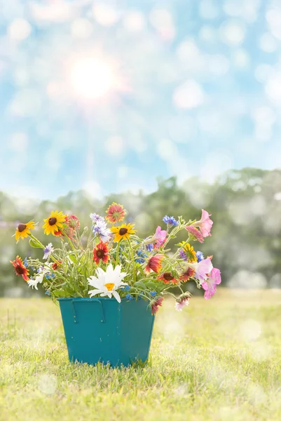Dreamy image of spring flowers in a square pot — Stock Photo, Image