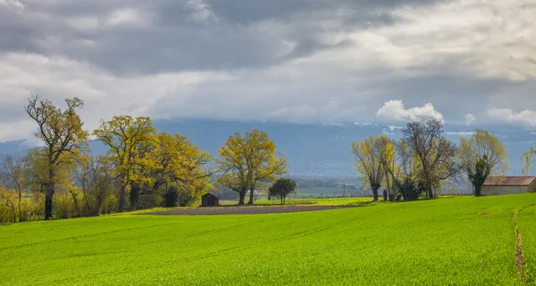 Zielone pola, chmury i niebo — Zdjęcie stockowe