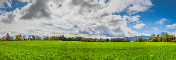 Yeşil alan, bulut ve gökyüzü — Stok fotoğraf