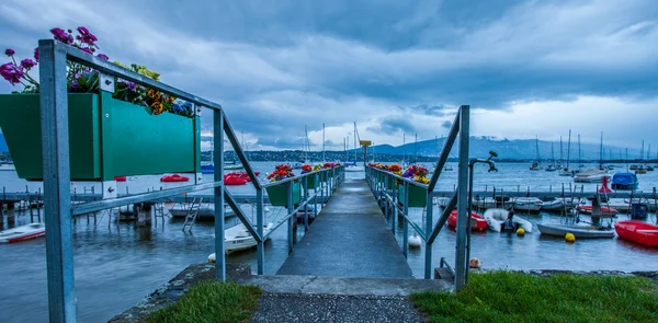 Creux de Genthod, Lago de Ginebra —  Fotos de Stock