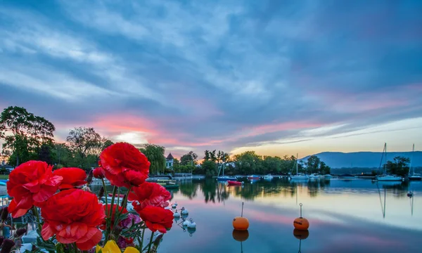 Boten, bloemen en zonsopgang — Stockfoto