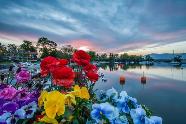 Лодки, цветы и рассвет — стоковое фото