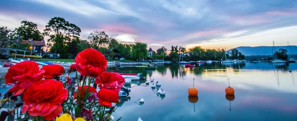 Båtar, blommor och soluppgång — Stockfoto