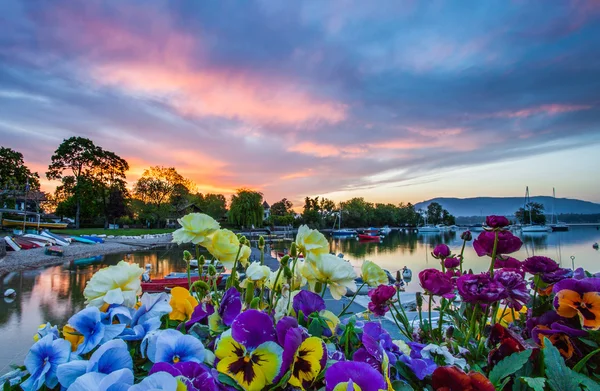 Båtar, blommor och soluppgång — Stockfoto