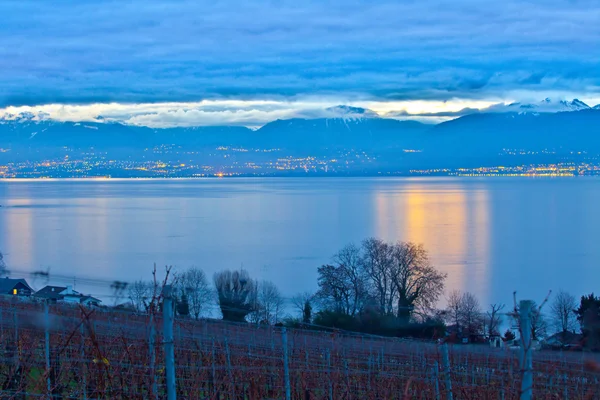 Swiss vineyard during winter time — Stock Photo, Image