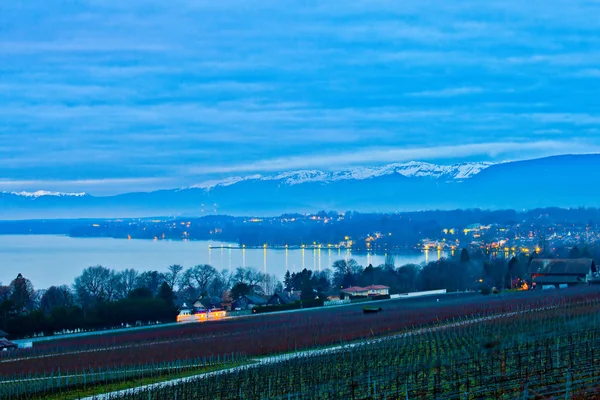 Viña suiza durante el invierno — Foto de Stock