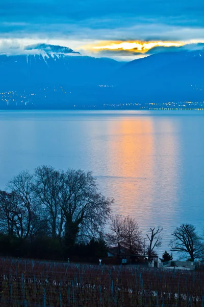 겨울 시간 동안 스위스 포도 — 스톡 사진