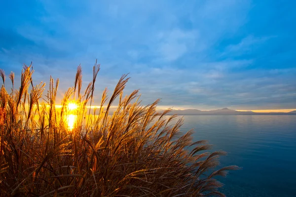 Nascer do sol no Lago de Genebra — Fotografia de Stock