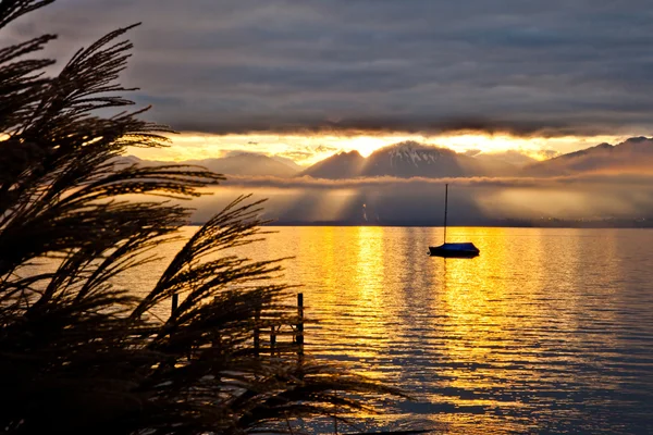 ジュネーブ湖の日の出 — Stock fotografie