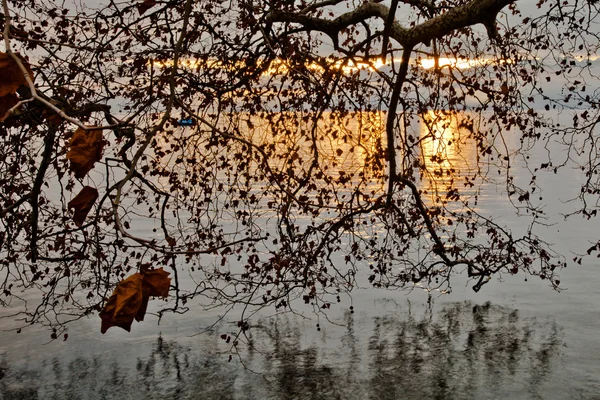 Lago de Genebra Sunrise — Fotografia de Stock
