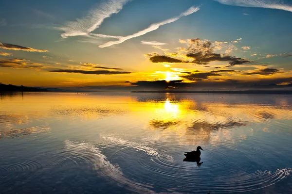 Lever de soleil au lac Léman — Photo