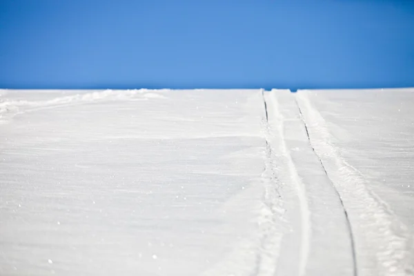 Släde snö spår — Stockfoto