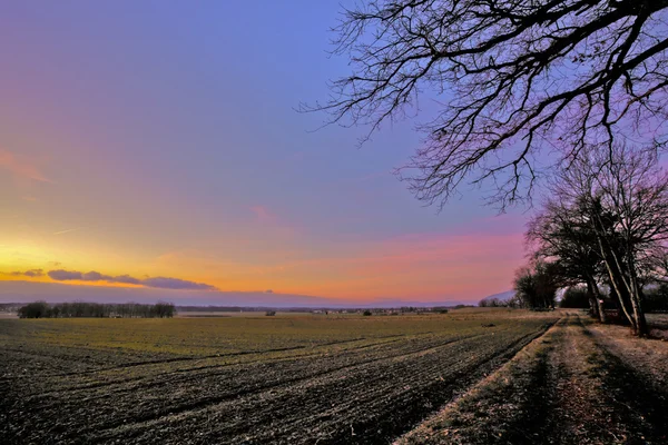 Sonnenaufgang auf freiem Feld — Stockfoto