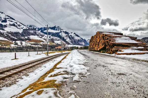 Рубленая древесина — стоковое фото