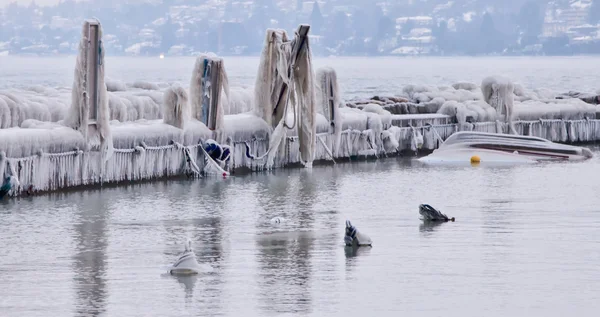 Замороженные лодки — стоковое фото