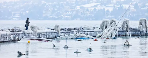 Замороженные лодки — стоковое фото