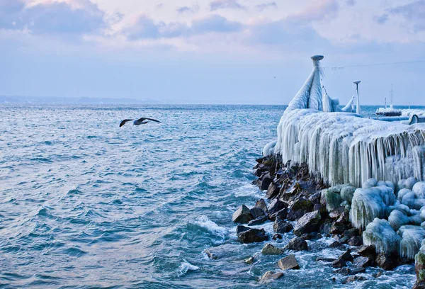 Zugefrorenes Seeufer — Stockfoto