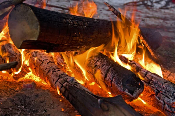 stock image Campfire