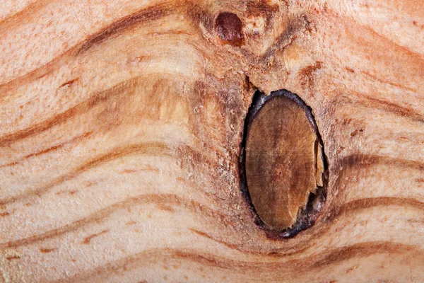 Fundo de grão de madeira com olho — Fotografia de Stock