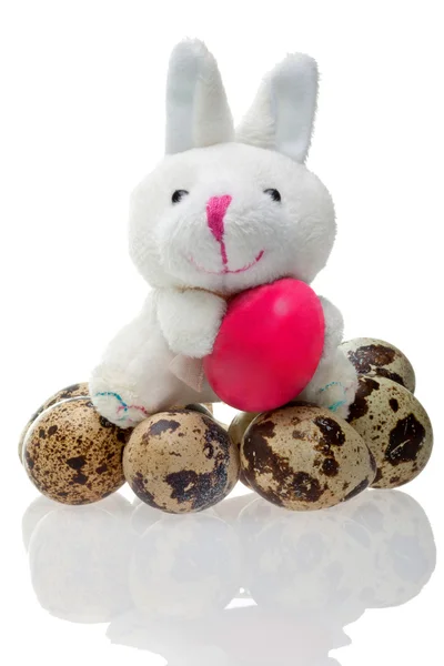 Komik tavşan ile Paskalya yortusu yumurta — Stok fotoğraf