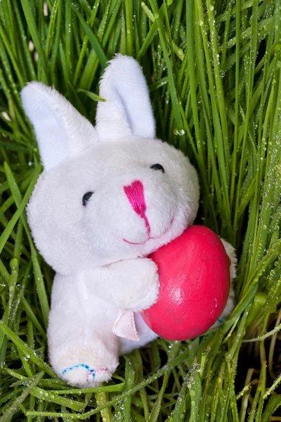 Bunny Paskalya yumurta holding — Stok fotoğraf
