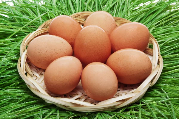 stock image Brown chicken egg in a wicker basket