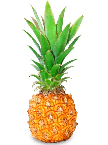 Ananas — Stock fotografie