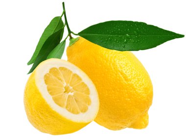 Lemon fruit clipart