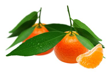 mandarins