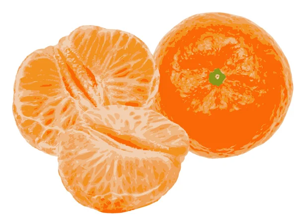 Mandarinas — Vector de stock