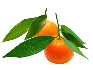 mandarins