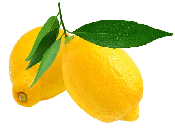 Лимонний на білому — стокове фото